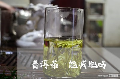 普洱茶 能减肥吗/2023041332605